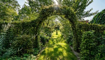 Landelijke B&B met bijgebouwen en unieke aangelegde tuin met weiland