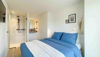 Prachtig gerenoveerde penthouse met lateraal zeezicht 