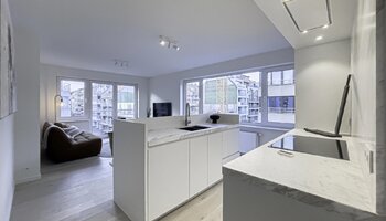 Appartement d’angle rénové près du Lippenslaan 