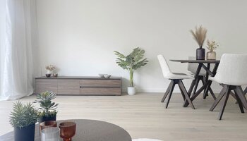 Gerenoveerd & gemeubeld 3SK-app vlakbij het Zegemeer & strand