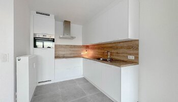 Vernieuwde penthouse met groot terras