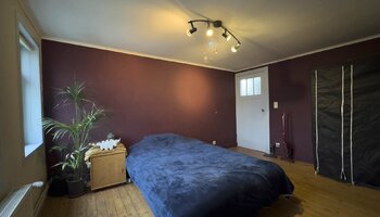 Zeer ruime burgerwoning met grote tuin