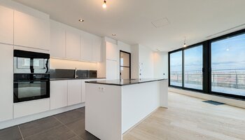 Gerenoveerde penthouse met zongericht en uitzonderlijk groot terras