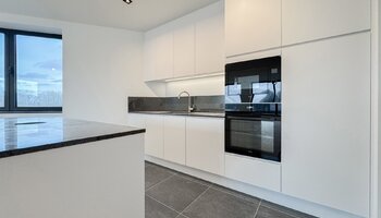 Gerenoveerde penthouse met ruim zongericht terras