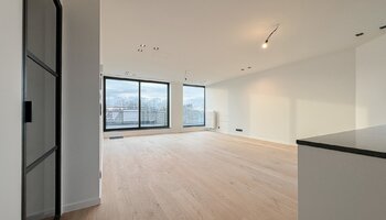 Gerenoveerde penthouse met ruim zongericht terras