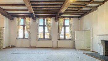 Polyvalent handelshuis met horecazaak/privéwoning/ruim terras/privé-parking
