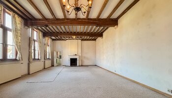 Polyvalent handelshuis met horecazaak/privéwoning/ruim terras/privé-parking