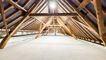 Authentiek landhuis met een aansluitende woonst, alleenstaande schuur gelegen in alle privacy