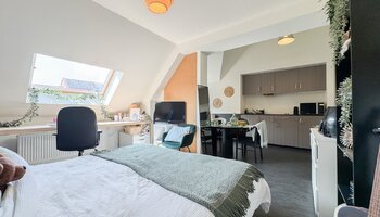 Statige instapklare woning met 2 studentenstudio's
