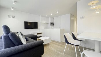 Gerenoveerd gelijkvloers appartement met 2-SLK vlakbij de Lippenslaan en het centrum