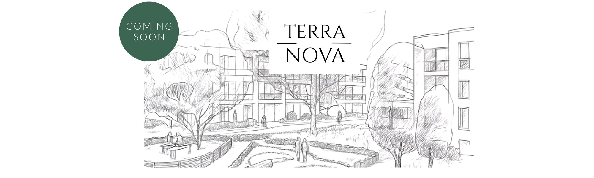 TerraNova_Website_homepag.jpg