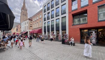 Stijlvol en luxueus appartement met zicht op het Belfort