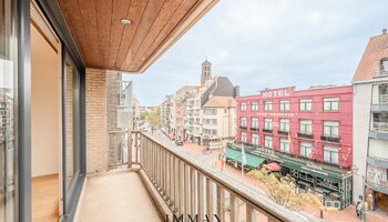 Ruim 2SLK-appartement met westgericht terras op de Lippenslaan