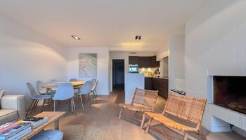 Ruim 3SLK-appartement met open zicht nabij het strand en de Lippenslaan