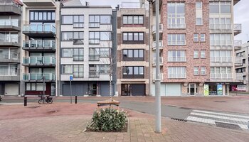 Ruim 3SLK-appartement met open zicht nabij het strand en de Lippenslaan