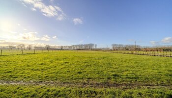 Villa op landelijke ligging met loodsen en weiland vlakbij Damse Vaart