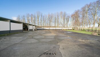 Villa op landelijke ligging met loodsen en weiland vlakbij Damse Vaart