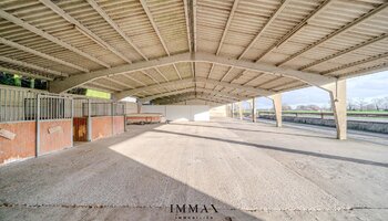 Villa op landelijke ligging met loodsen en weiland vlakbij Damse Vaart