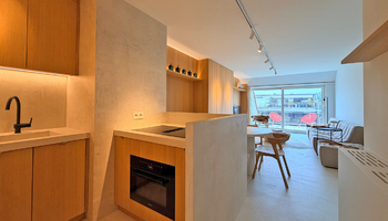 Prachtig triplex appartement met terras gelegen op de Lippenslaan