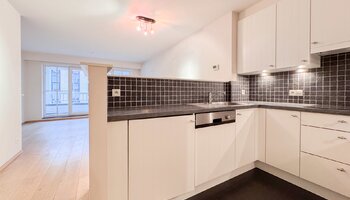 Appartement récent (2005) avec 1CH et terrasse ensoleillée orientée sud, situé au centre près de la Lippenslaan, du lac Zegemeer et de la plage.