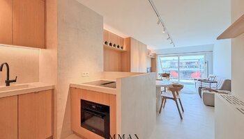 Prachtig triplex appartement met terras gelegen op de Lippenslaan