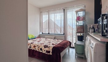 Ruim, vernieuwd appartement op een zeer centrale locatie