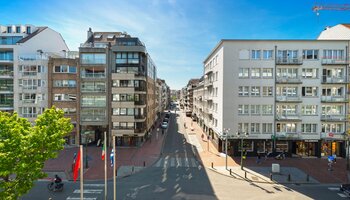 Groot en prachtig gerenoveerd appartement met 4-SLK, west gericht terras en open zicht 