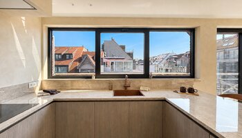 Prachtig gerenoveerd duplex-hoekappartement nabij de Lippenslaan