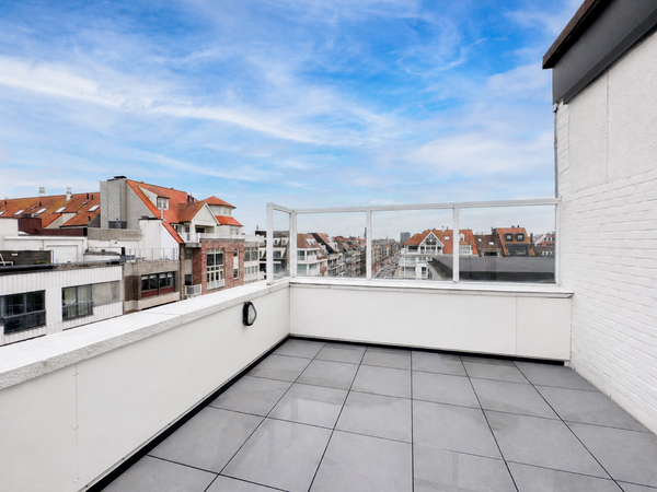 Gerenoveerde studio met ruim terras (+-13 m2) op wandelafstand van de zee